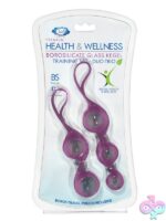 Plum borosilicate glass kegel training set with duo and trio silicone harnesses by Cloud 9