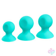 Cloud 9 Novelties Sex Toys - Cloud 9 Health and Wellness Nipple and Clitoral Massager Suction Set - Teal