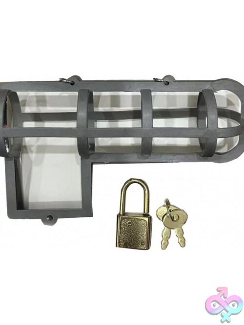 Cock Block Locking Cage In Gray Metal - Image 2