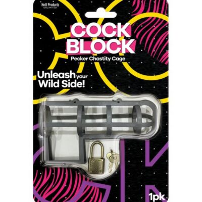 Gray metal locking chastity cage with master lock and key by Hott Products