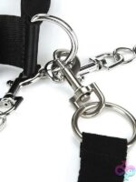 Collar, Cuffs & Leash Set with Removable Cuffs - Image 3