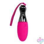 Companion Pink - Image 2