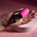 Companion Pink - Image 3