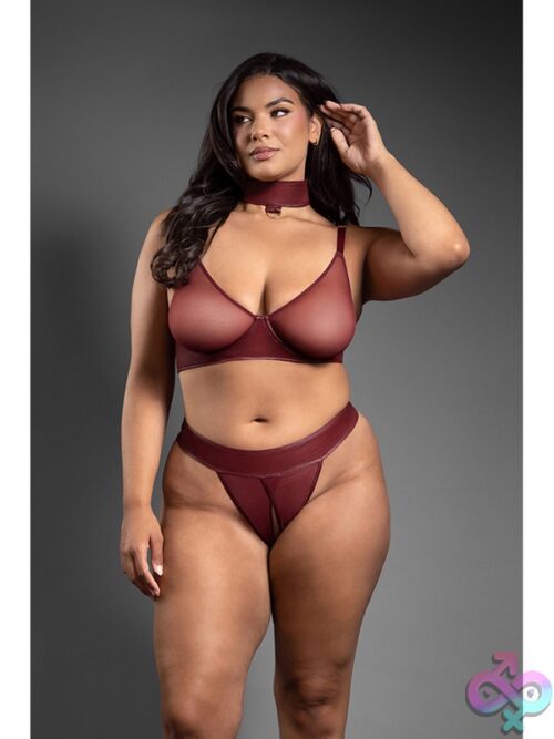 Convertible Bra, Panty &Amp; Leash Set - Image 2