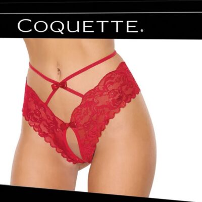 Red open crotch scallop lace panty with strappy waist and bow details on white background