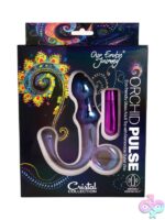 Clear borosilicate glass and silicone vibrating anal toy with removable pulsing bullet by Our Erotic Journey