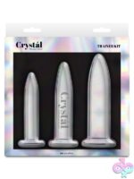 Three-piece graduated clear borosilicate glass anal trainer kit by Ns Novelties