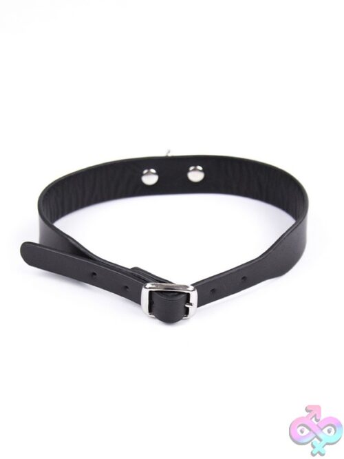 D-Ring Pvc Collar – Black - Image 2