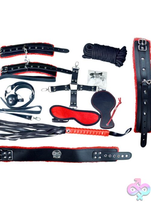 Deluxe Everything Bondage Kit - Image 2