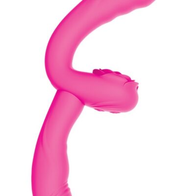 Desire 2-Piece Dual Vibrator Couples Toy by Nasstoys in pink and purple