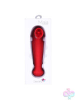 Vaginal and Clit Vibrators for Female