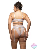 Diamond Bra, Garter Belt & Panty Set – Silver 3X/4X - Image 2