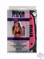Pink beginner bondage set with satin blindfold, faux-fur handcuffs, and mini flogger by S&G Pleasure