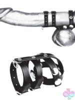 Double Cock & Ball Strap with Leash Lead - Image 2