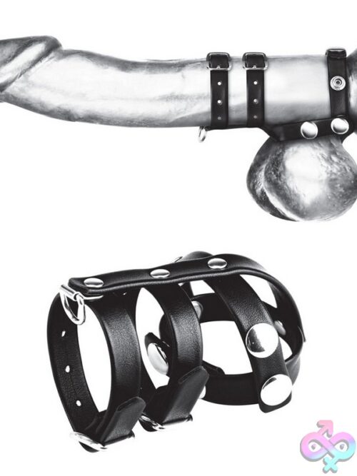 Double Cock &Amp; Ball Strap With Leash Lead - Image 2