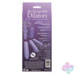 Dr. Laura Berman Rechargeable Dilators Set of 4 Locking Sizes Plus Sleeve - Purple - Image 2