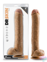 Realistic Looking Cocks for Female