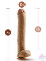 Realistic Looking Cocks for Female