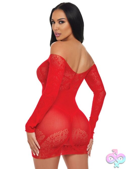 Scarlet Seduction Lace &Amp; Mesh Dress - Image 3