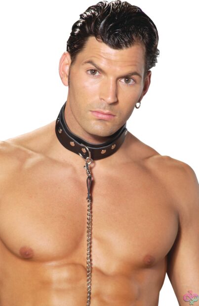 O Ring Detail Black leather collar by Elegant Moments — kink collar with metal O-ring hardware