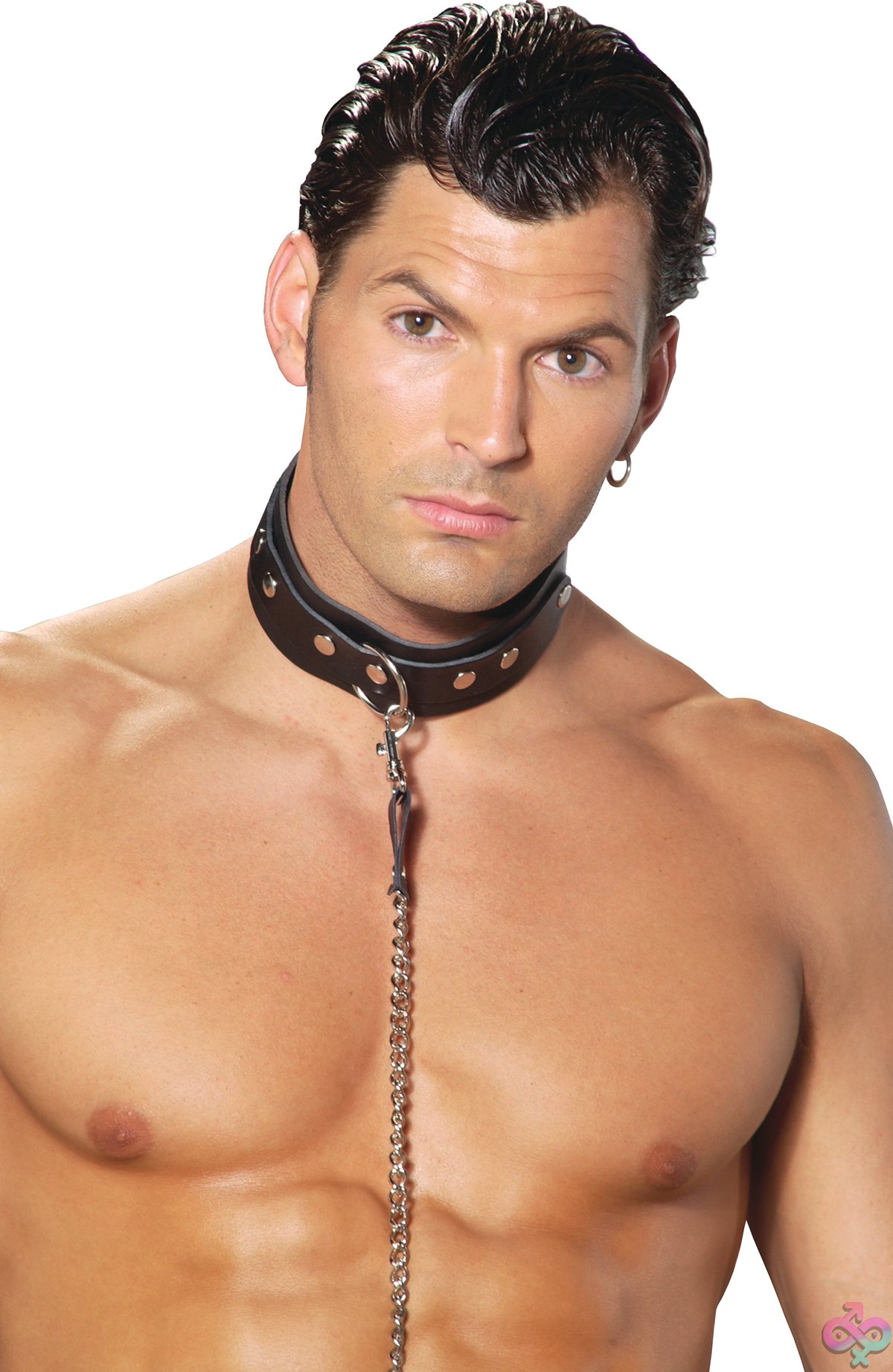 Discreet-Toys-Elegant-Moments-L9150_F O Ring Detail Black Leather Collar By Elegant Moments — Kink Collar With Metal O-Ring Hardware