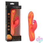 Endless Summer Moonlight Magic - Orange