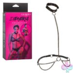 Euphoria Collection Chain Halter/collar and Leash - Black