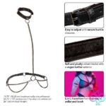 Euphoria Collection Plus Size Chain Halter/collar and Leash - Black - Image 3