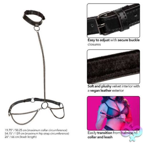 Euphoria Collection Plus Size Chain Halter/Collar And Leash - Black - Image 3