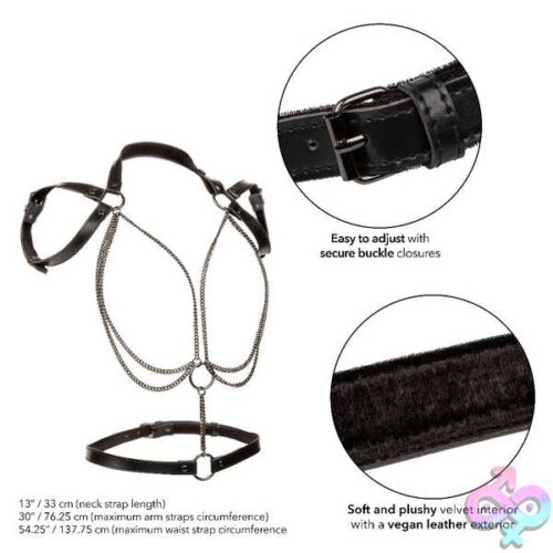 Euphoria Collection Plus Size Multi Chain Halter - Black - Image 4