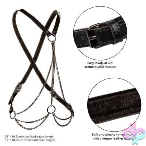 Euphoria Collection Plus Size Multi Chain Harness - Black - Image 4
