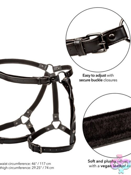Euphoria Collection Plus Size Riding Thigh Harness – Black - Image 3