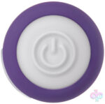 Evolved Novelties Sex Toys - Purple Passion