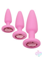 Anal Kits for Anal