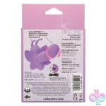 First Time Rotating Venus Butterfly