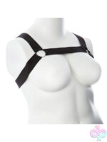 Harness Only for Couples