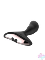 Remote Controlled Anal Vibes for Anal