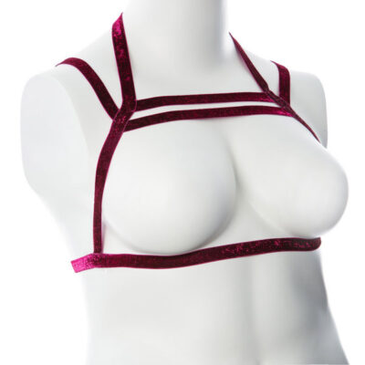 Gender Fluid Sugar Coated Harness in Raspberry by Voodoo Toys