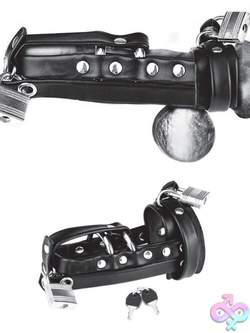 Locking Chastity Sheath With Double Metal Cock Ring – Black - Image 2