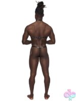 Gladiator Thong Harness with Collar – Black L/XL - Image 2
