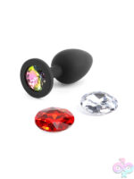 Anal Plugs for Anal