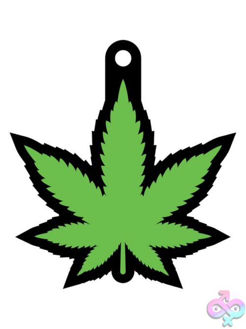 Green Leaf Air Freshener – Fresh Forest Scent - Image 2