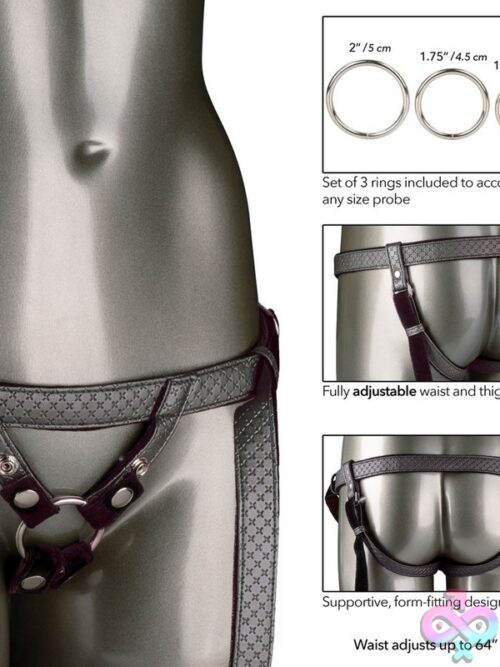 Her Royal Harness The Regal Duchess - Image 3