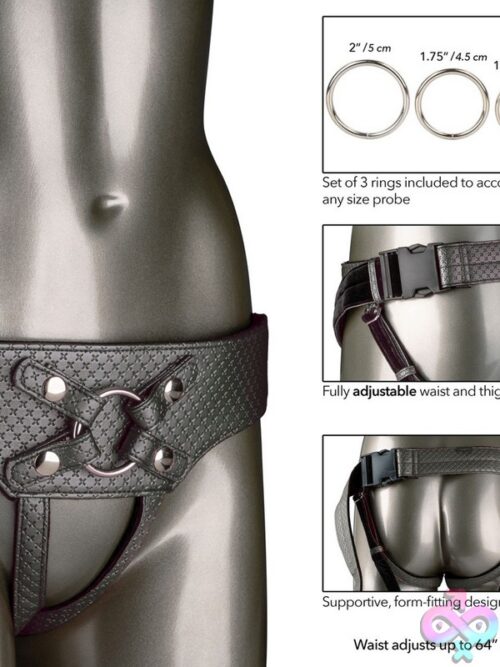 Her Royal Harness The Regal Empress Harness – Pewter - Image 3