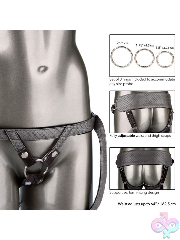 CalExotics Sex Toys - Harness Only Pewter Regal Princess Harness - Image 8