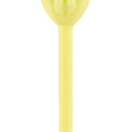 Hott Products Sex Toys - Pussy Straws - Glow in the Dark