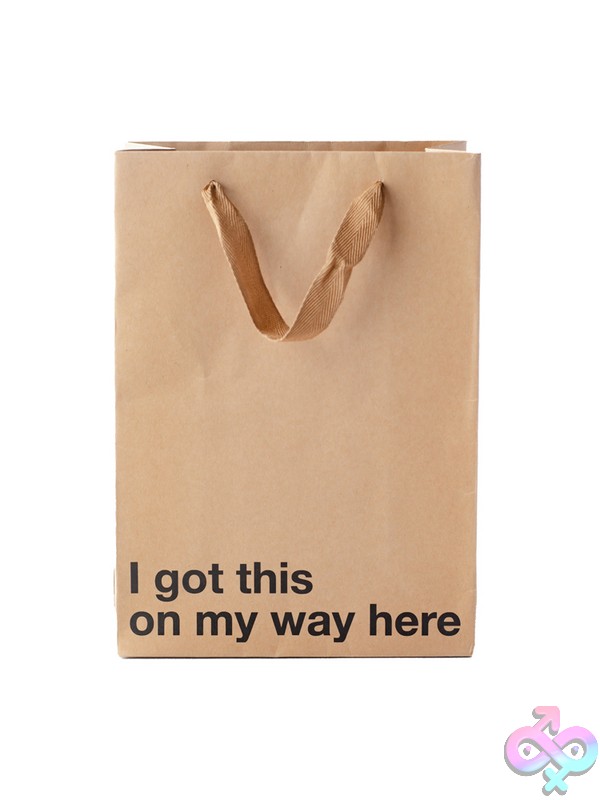 Discreet-Toys-I-Got-This-On-My-Way-Here-3-Pack-Bag-Nu-Bag3Pk-011 I Got This On My Way Here Snarky Beige Kraft Paper Gift Bag 3-Pack By Wood Rocket