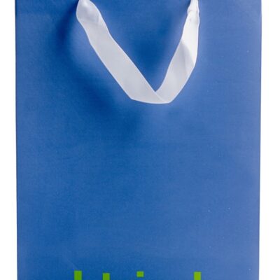 I Tried snarky blue Kraft paper gift bag with white ribbon handle by Wood Rocket