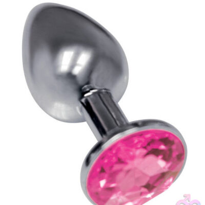 the 9s the silver starter bejeweled stainless steel plug with violet jewel base by Icon Brands