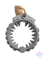 Cock and Ball Toys for Bondage